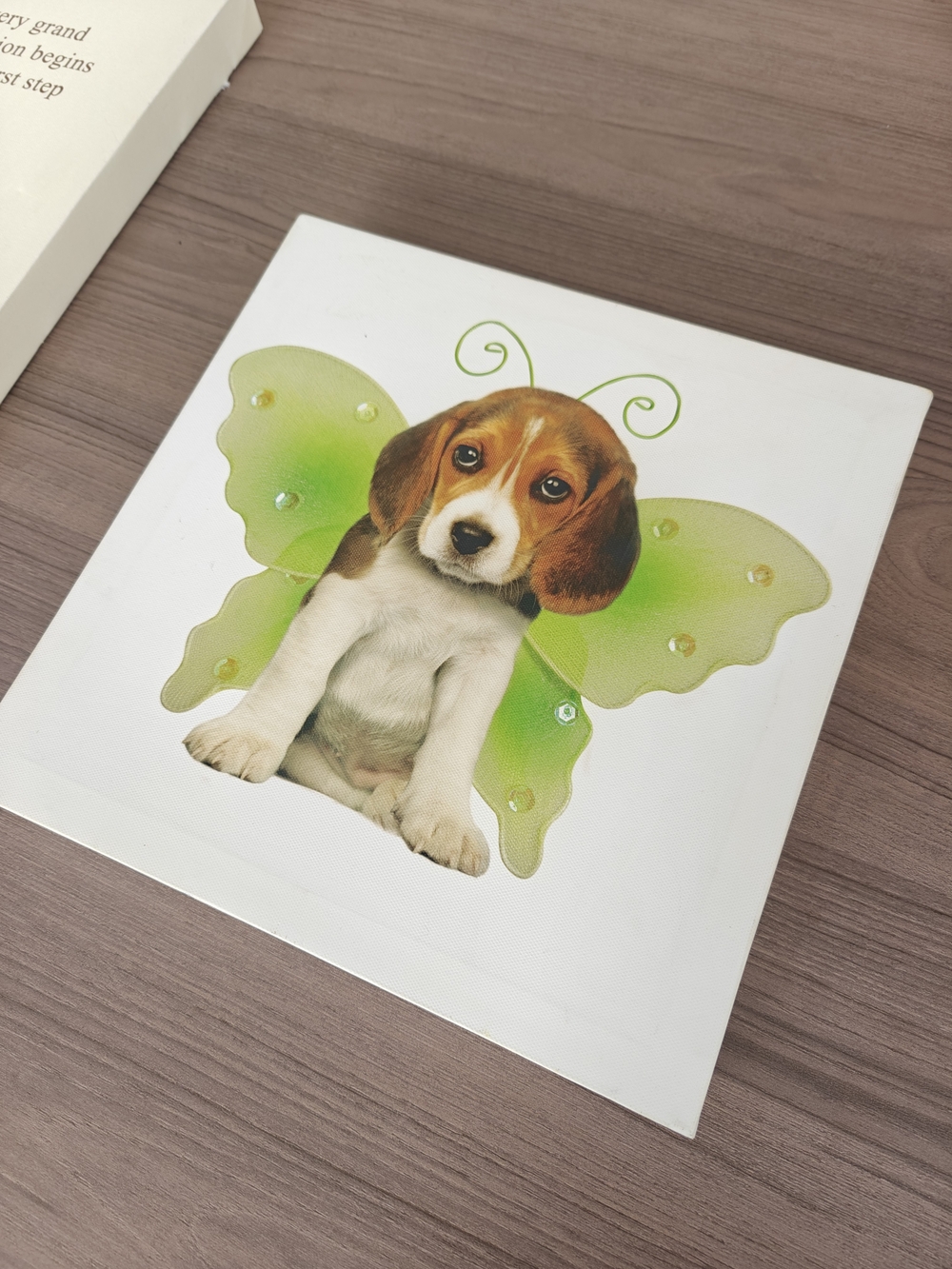 Green Butterfly Puppy Canvas Print - Pets Dog Wall Art